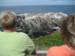 The Oregon coast