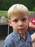 IMG 0006