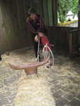 IMG 0031