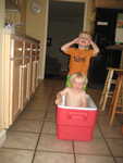 IMG 0081