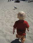 IMG 0082