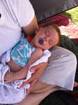IMG 0528