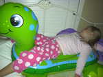 IMG 0529