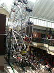 IMG 0546