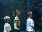 IMG 2073