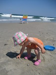 Finding seashells
