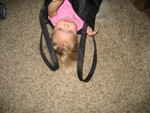 Madison didn't want to get out of the bag