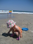 Madison finding seashells