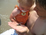 Madison loves seashells