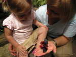 Madison at butterfly world