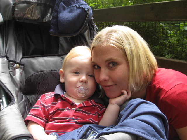 June 4 2009 to June 18 2009 241