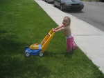 Mowing the lawn