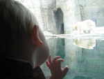 rachel pictures Oct 20 007