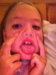 IMG 1853