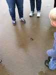 IMG 1873