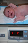 6 lbs 7 oz