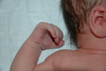 Little hands