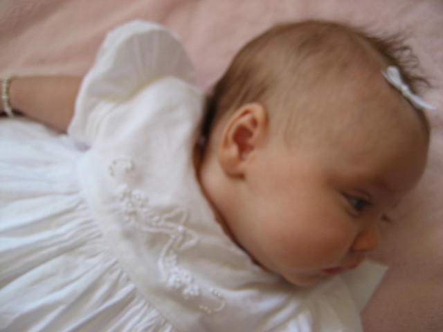 IMG 0322