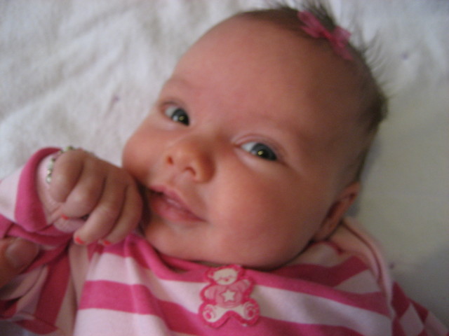 Little ladybug