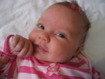 Little ladybug