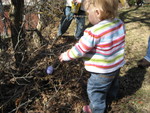 Finding an egg
