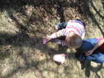 Finding eggs