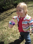 Looking for eggs