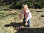 Madison caught on quick to egg hunting
