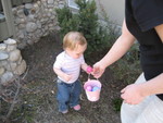 Madsion easter egg hunting at G&G Smith's