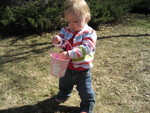 Putting eggs in the basket