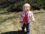 Searching for eggs