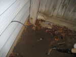 digging up the jar time capsule