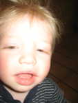 IMG 0837