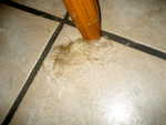 IMG 0850