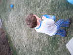 IMG 0042