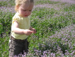 Mother's day picutres 6