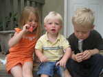 IMG 0029