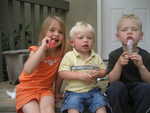 IMG 0031
