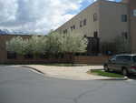 IMG 0125