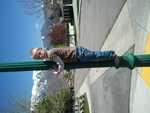 IMG 1796