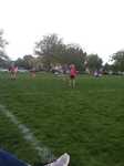 IMG 3369