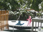 More sliding than jumping went on - they were both cracking up at how neither of them could stay standing and at how difficult is was to get off the tramp