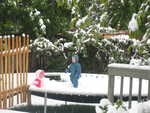 Snowy trampoline