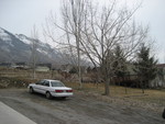 IMG 0144