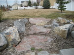 IMG 0146
