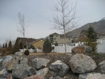 IMG 0154