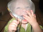IMG 0621