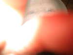 IMG 0626