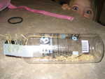 IMG 0078