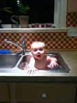 IMG 1086